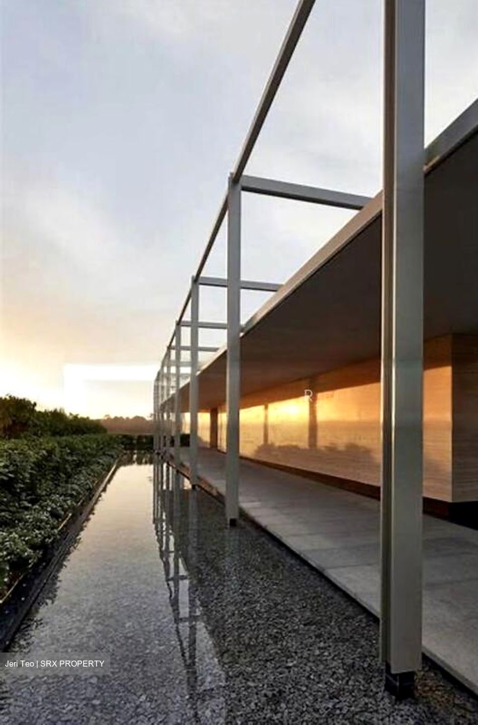 19 Nassim (D10), Apartment #503642111